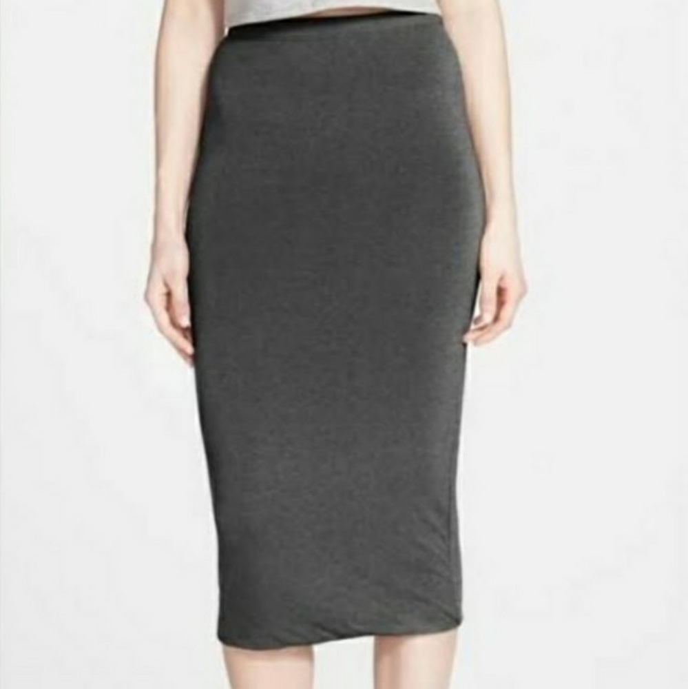 Nordstrom NWOT Gray Leith Skirt